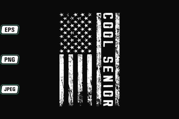 Cool Senior: A Practical Evaluation of Multi-Format Digital Assets for Creative Professionals
